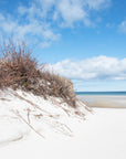 Mayflower Dune