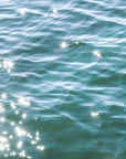 Glimmer