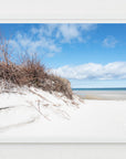 Mayflower Dune