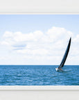 Framed photograph of a sailboat with a large black sail on the blue ocean with a cloudy sky.