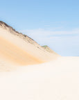 wellfleet dune, beach photograph, cape cod
