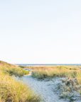 Beach pathway through beach grass towards blue ocean.
