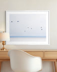 Gulls in Flight