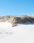 Mayflower Beach, Cape Cod Vibrant blue skies, white sands and grassy dunes, this quintessential Cape Cod scene brings.