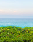 This image presents an artwork titled "Nassau Outlook," featuring a vibrant print of a Bahamian landscape. The artwork captures the serene view of the turquoise ocean meets the lush, greenery.