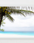 Framed photograph of a tropical palm tree with coconuts overlooking turquoise waters and white sands.