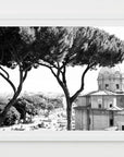A framed black and white artwork of a tree and architectural building in Rome, Italy