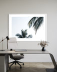 Two Palms