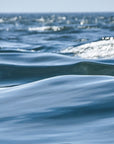 This image displays an artwork titled "In Motion," featuring a captivating photograph of deep and gentle blue ocean waves.