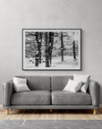 winter trees - Woodstock, VT Black and White Photograph