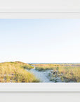 Beach pathway through beach grass towards blue ocean.