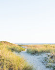 bank street beach - Harwich, Cape Cod - Sarah Dasco Photography