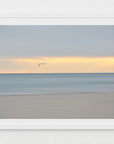dusk flight - Cape Cod beach photograph by Sarah Dasco