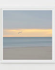 dusk flight - Cape Cod beach photograph by Sarah Dasco