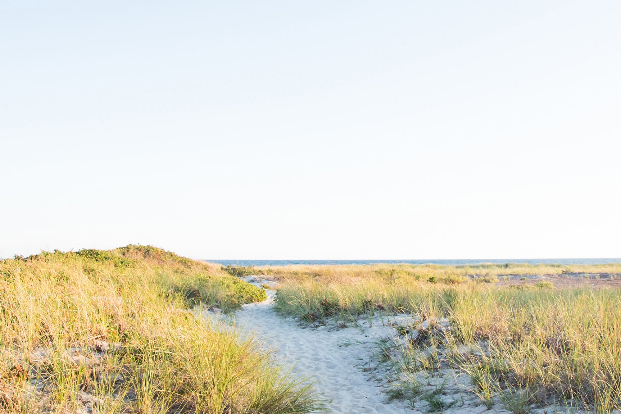 Beach pathway through beach grass  towards blue ocean. 