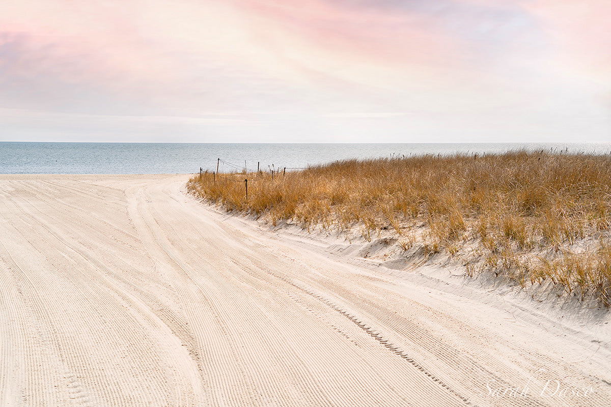 beach scene at sunset of grassy beach dune on yellow sands with blue ocean and pink skies