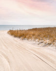 beach scene at sunset of grassy beach dune on yellow sands with blue ocean and pink skies