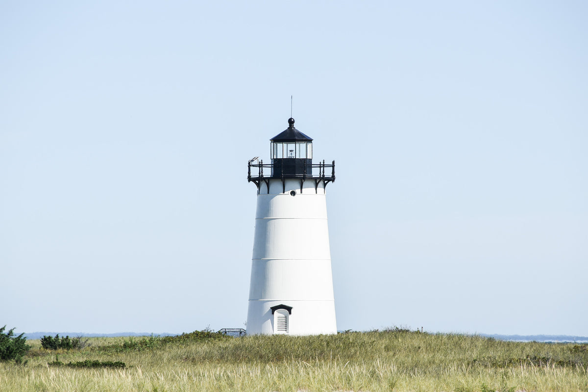 Vineyard Light