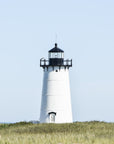 Vineyard Light