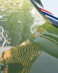 Green Vineyard Reflections