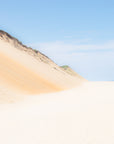 wellfleet dune, beach photograph, cape cod