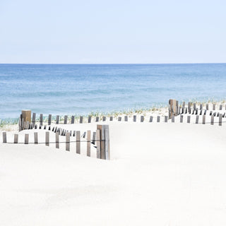 beach days - Nauset Beach, Cape Cod Photograph by Sarah Dasco