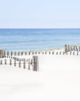 beach days - Nauset Beach, Cape Cod Photograph by Sarah Dasco