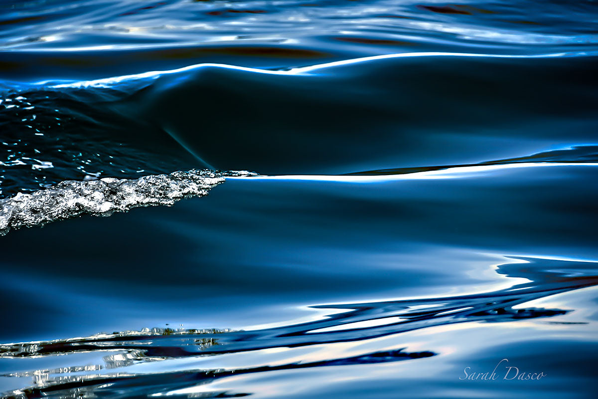 big tones #1, limited edition photograph by SarahDasco
