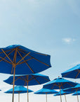 Blue Umbrellas