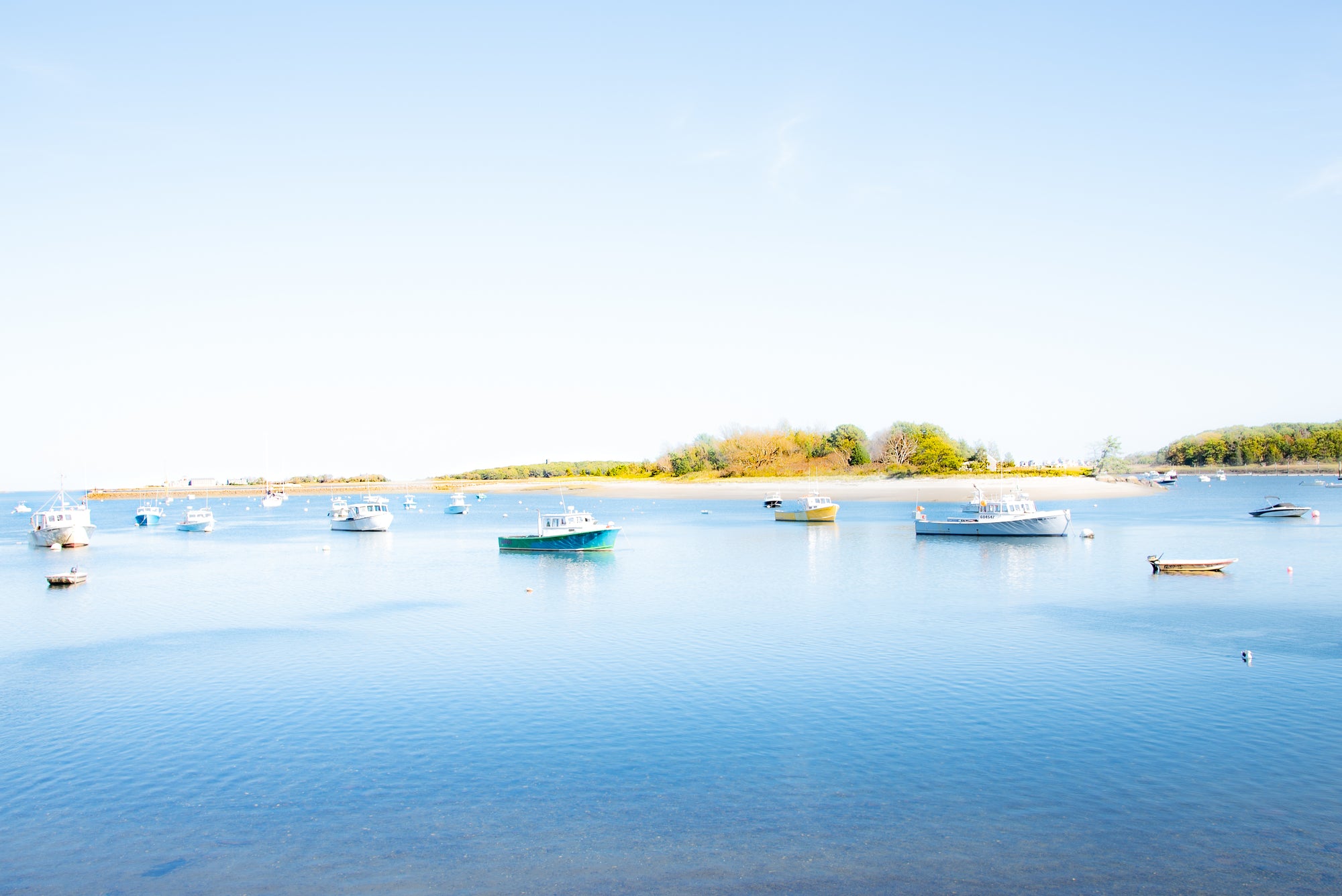 cohasset harbor by Sarah Dasco