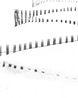 black and white nauset beach photograph by Sarah Dasco