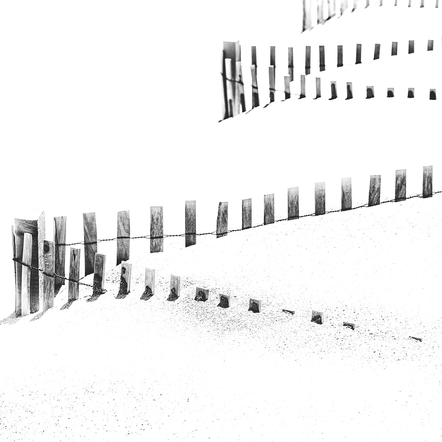 black and white nauset beach photograph by Sarah Dasco