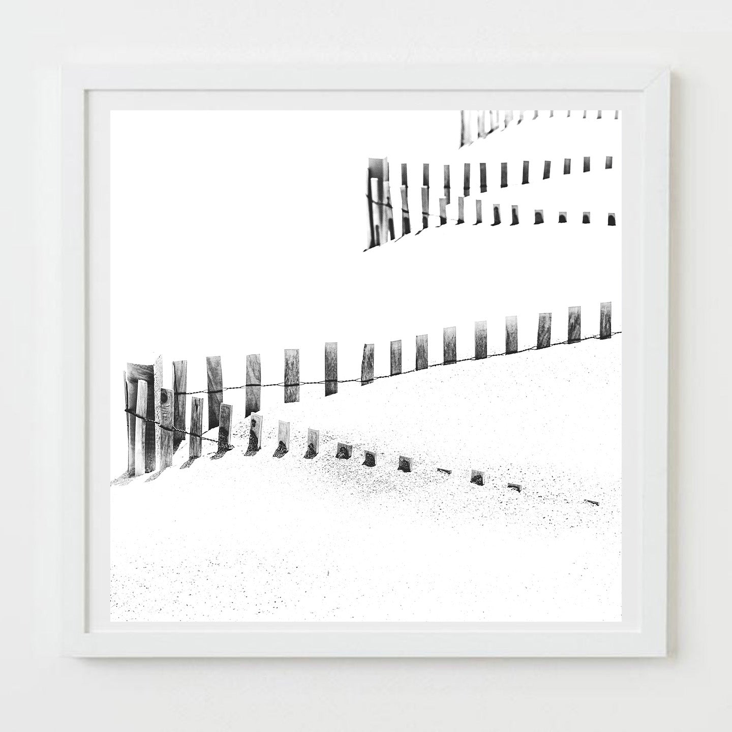 black and white nauset beach photograph by Sarah Dasco