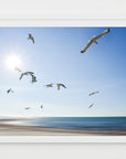 Framed artwork of seagulls flying over a beach with a blue sky.