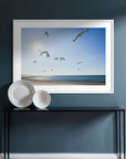 Gulls on the Go