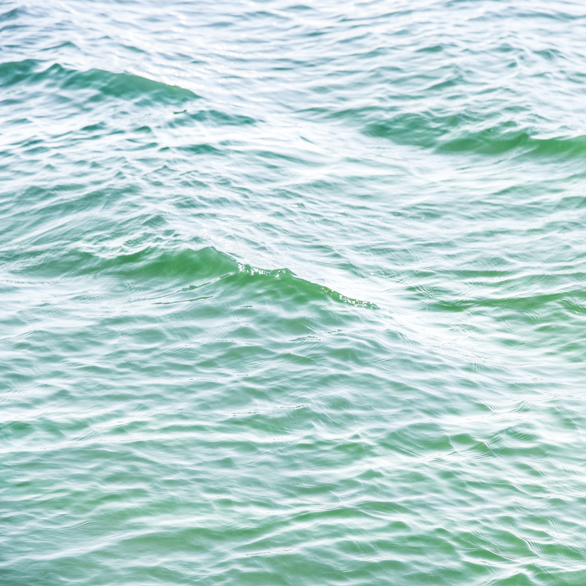 green waters on Marthas  vineyard photograph by Sarah Dasco