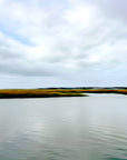 Sullivans Island in South Carolina photograph by Sarah Dasco