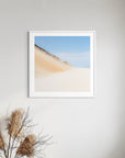 Wellfleet Dune