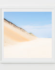 wellfleet dune, beach photograph, cape cod