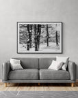 winter trees - Woodstock, VT Black and White Photograph