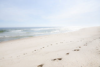 wanderlust -Photograph of Nauset Beach, Cape Cod