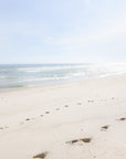 wanderlust -Photograph of Nauset Beach, Cape Cod