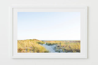 bank street beach - Harwich, Cape Cod - Sarah Dasco Photography