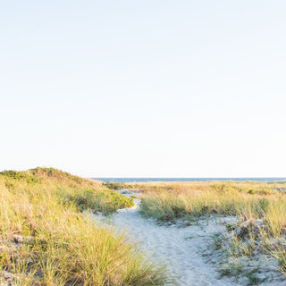 bank street beach - Harwich, Cape Cod - Sarah Dasco Photography