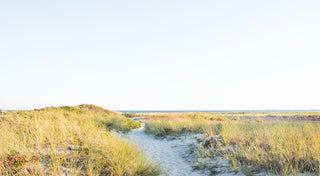 bank street beach - Harwich, Cape Cod - Sarah Dasco Photography