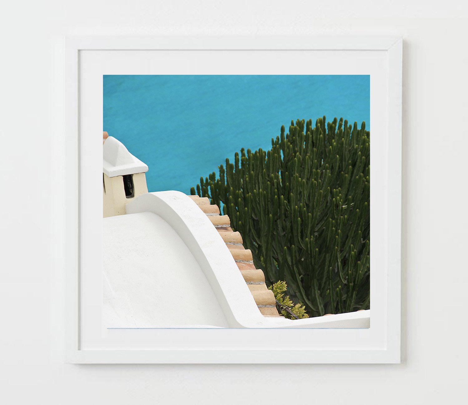 green cactus, turquoise waters - Amalfi- Concha de Marini, Italy