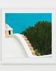 green cactus, turquoise waters - Amalfi- Concha de Marini, Italy