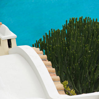 green cactus, turquoise waters - Amalfi- Concha de Marini, Italy