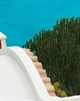 green cactus, turquoise waters - Amalfi- Concha de Marini, Italy