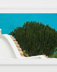 green cactus, turquoise waters - Amalfi- Concha de Marini, Italy